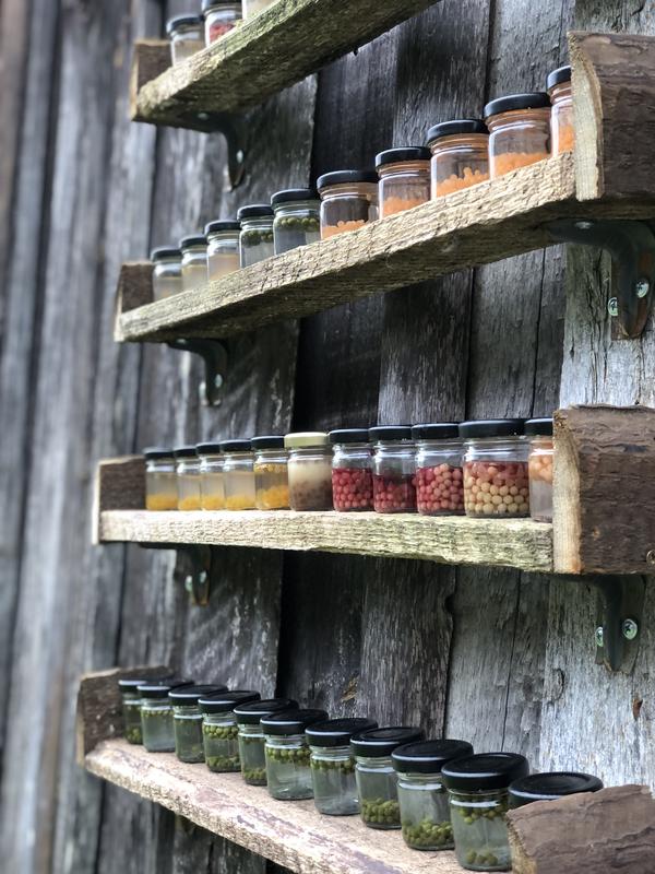 Exhibition Where the Roots Grow Deep